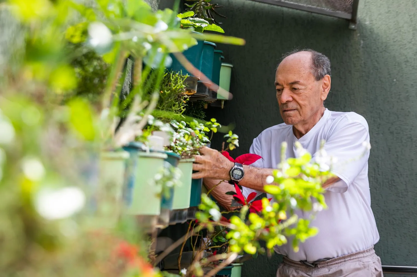 Residente cuida das plantas na horta